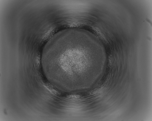 X0000098090691200804251255