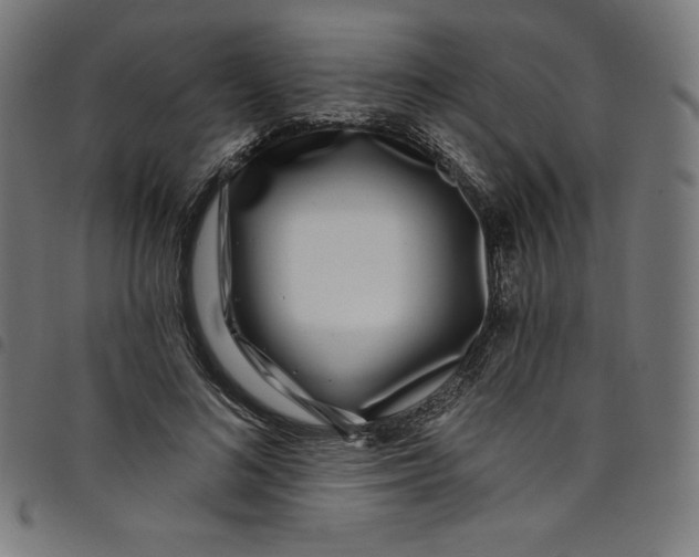 X0000098090692200804251255