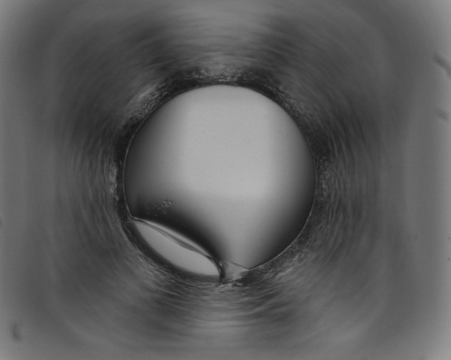 X0000098090693200804251255