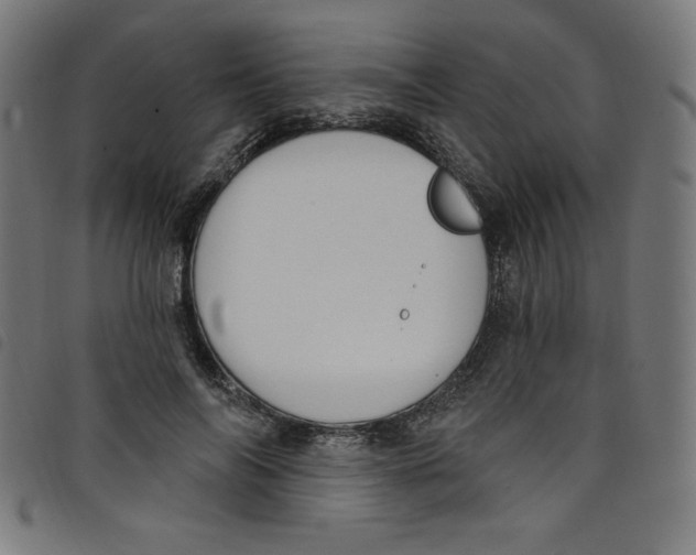 X0000098090694200804251255