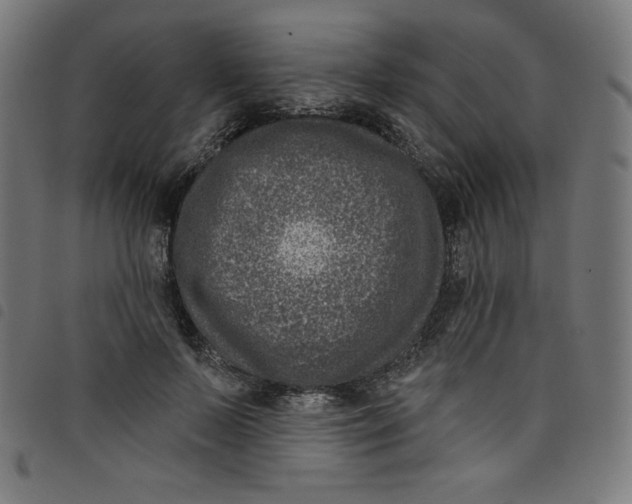 X0000098090695200804251255