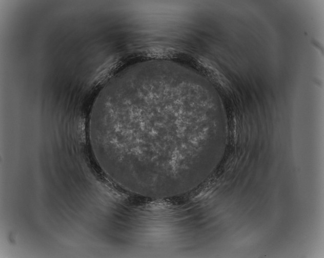 X0000098090696200804251255