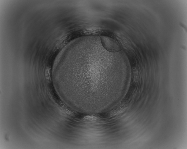 X0000098090699200804251255