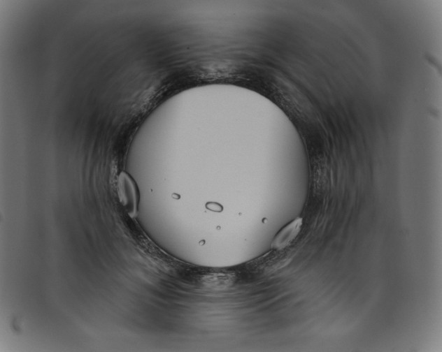 X0000098090700200804251255