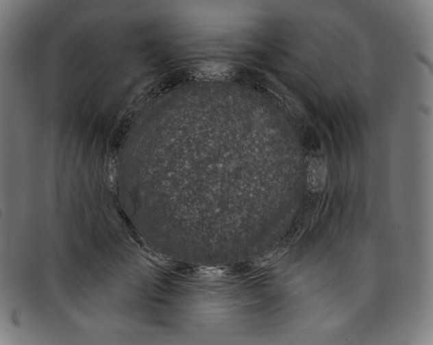 X0000098090701200804251255