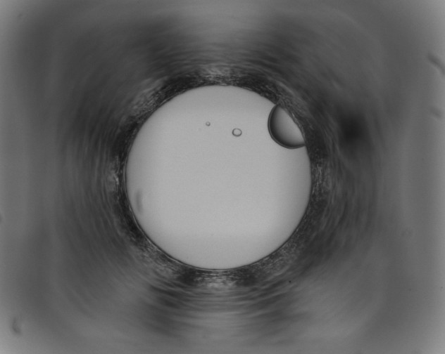 X0000098090702200804251255