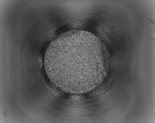 X0000098090703200804251255