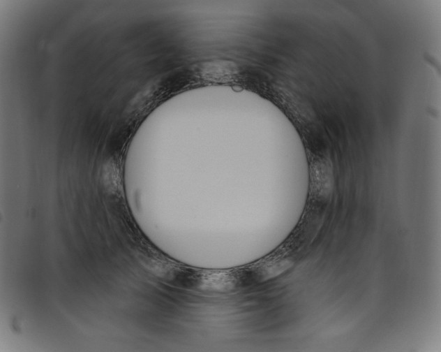 X0000098090705200804251255