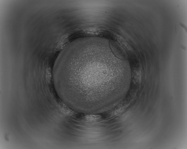 X0000098090707200804251255