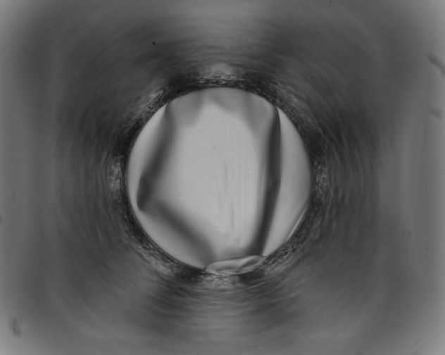 X0000098090708200804251255