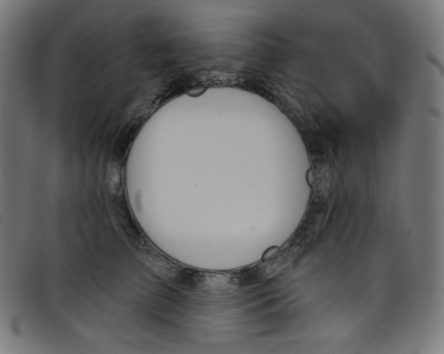 X0000098090709200804251255