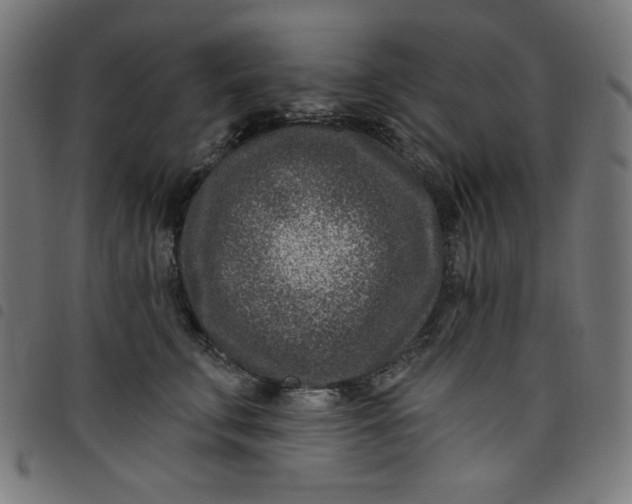 X0000098090711200804251255