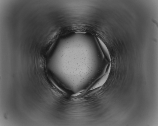 X0000098090712200804251255