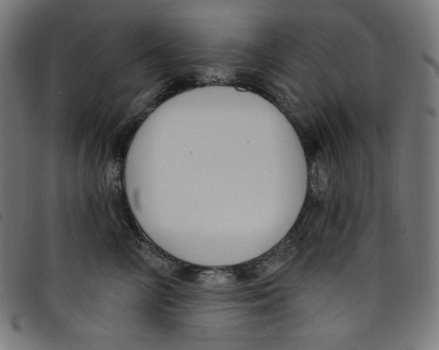 X0000098090714200804251255