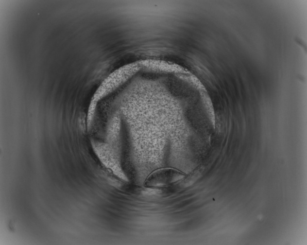 X0000098090718200804251254