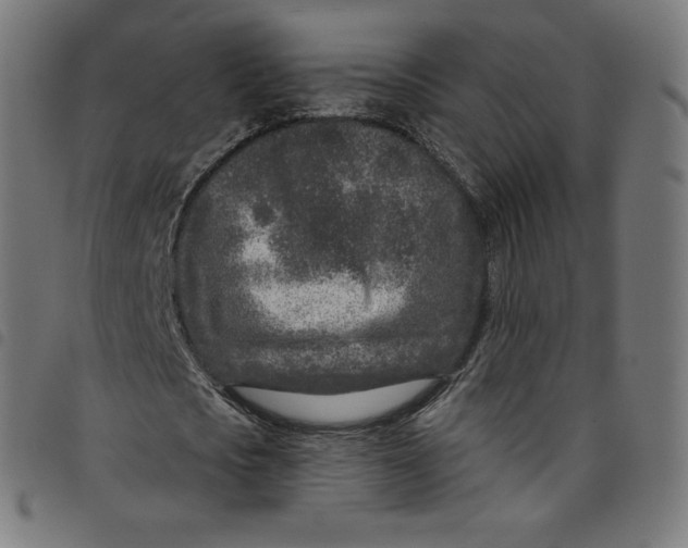 X0000098090721200804251254