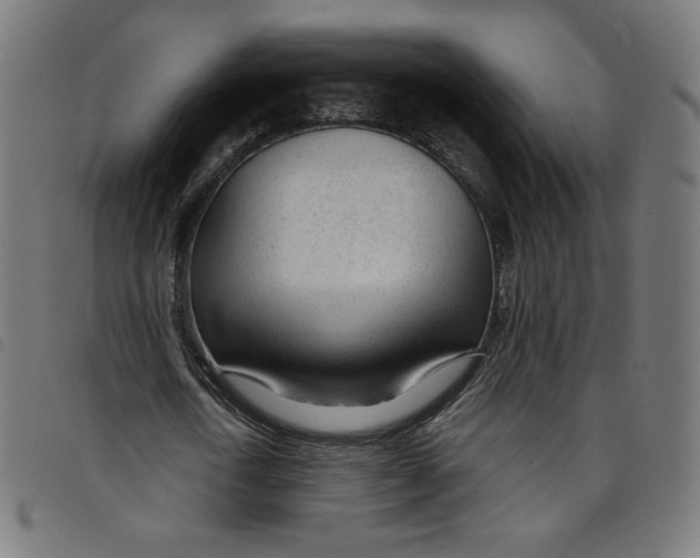 X0000098090722200804251254