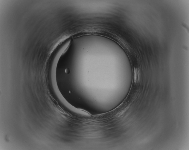 X0000098090723200804251254