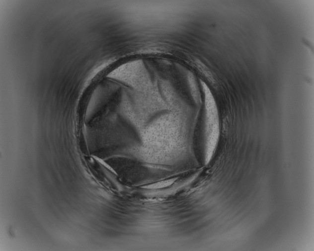 X0000098090724200804251254