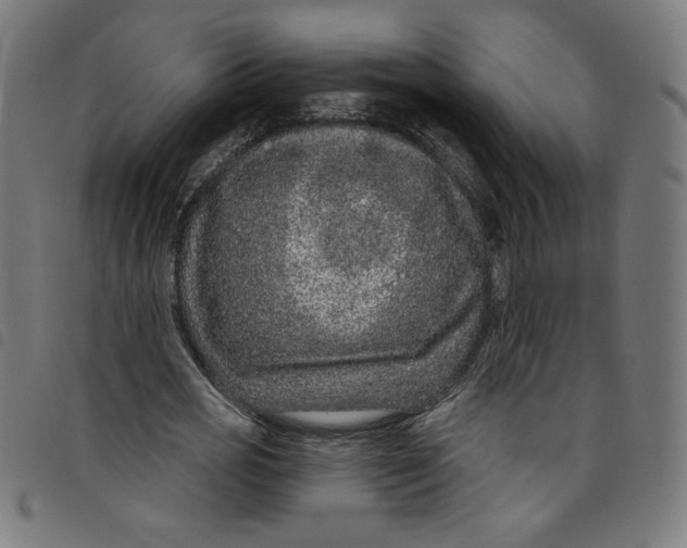 X0000098090725200804251254