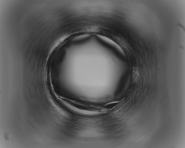 X0000098090726200804251254