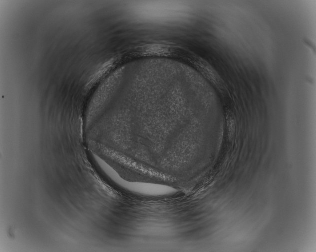 X0000098090729200804251254