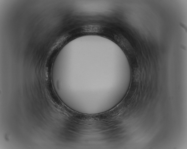 X0000098090731200804251254