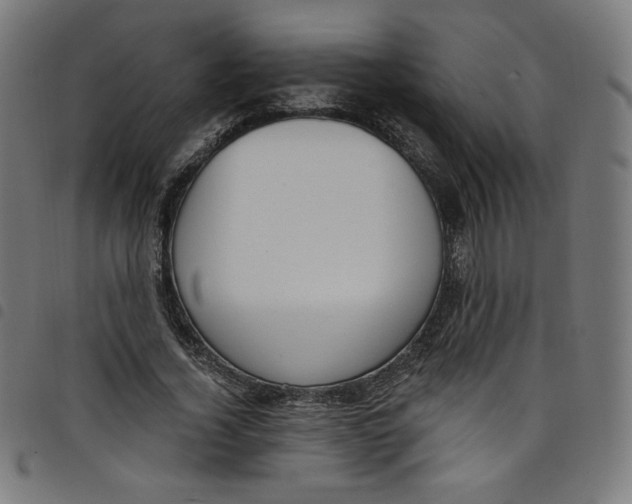 X0000098090732200804251254