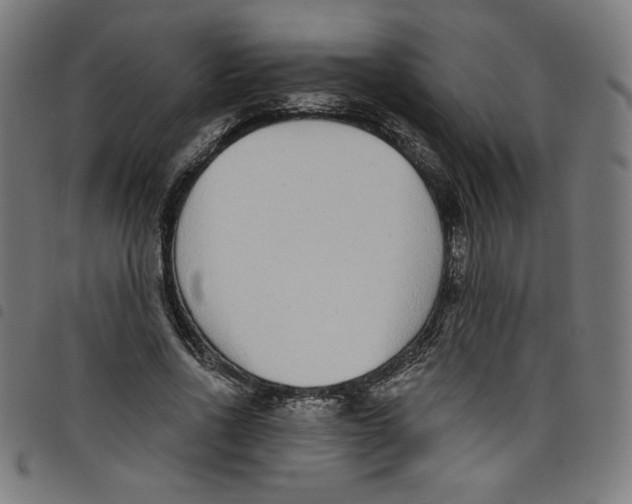 X0000098090734200804251254