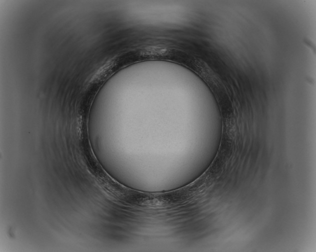 X0000098090735200804251254