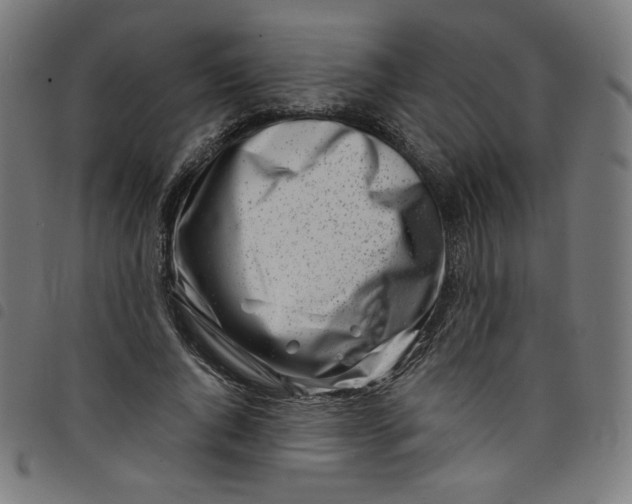 X0000098090736200804251254