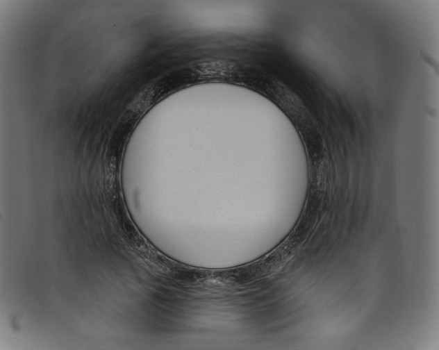 X0000098090737200804251254