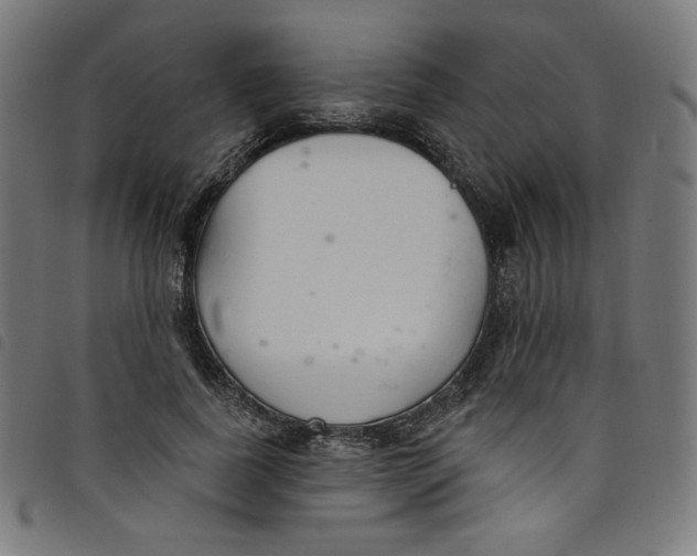 X0000098090739200804251254