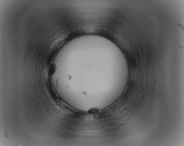 X0000098090740200804251254