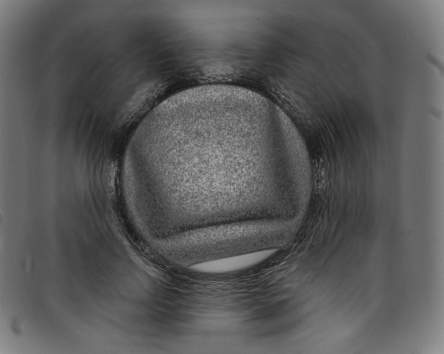 X0000098090742200804251254