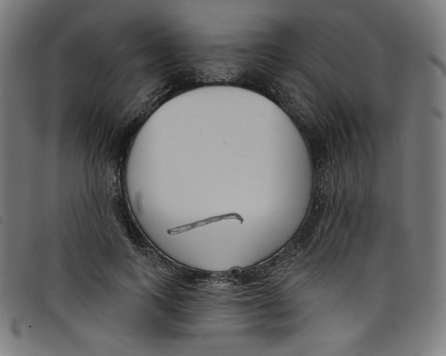 X0000098090743200804251254