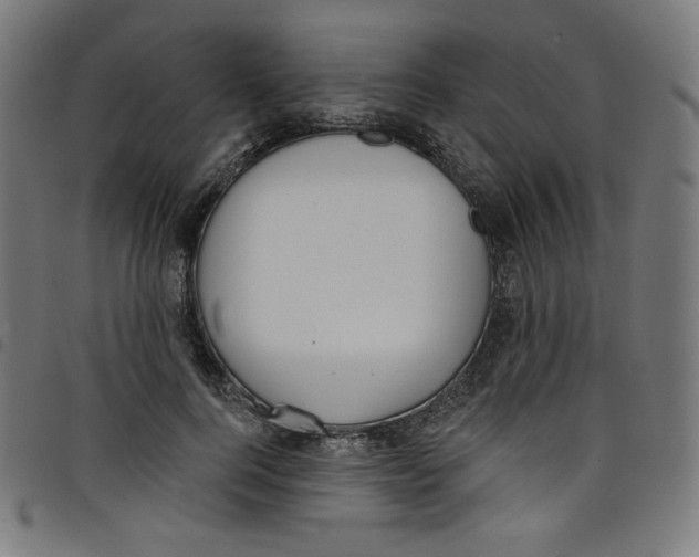 X0000098090744200804251254