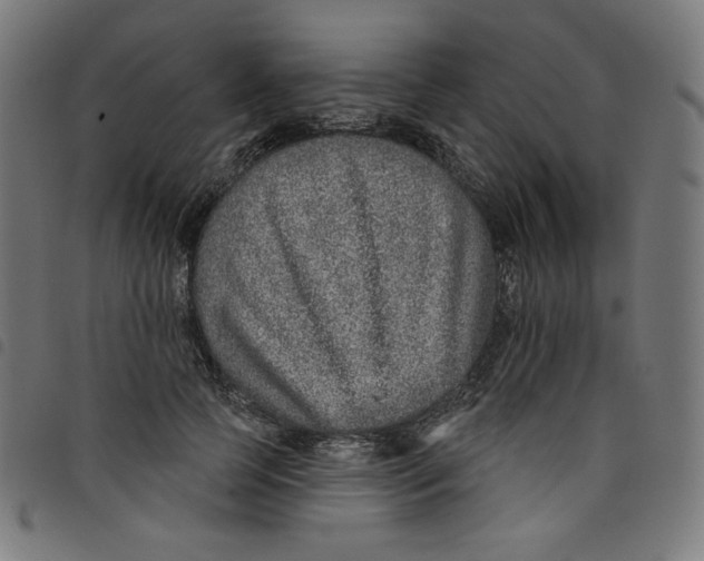 X0000098090745200804251254