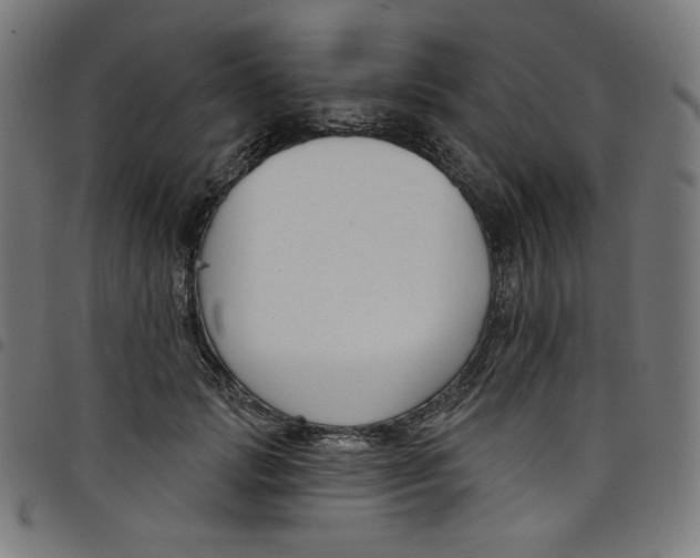 X0000098090749200804251254