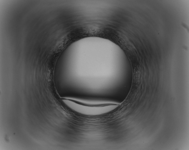 X0000098090750200804251254