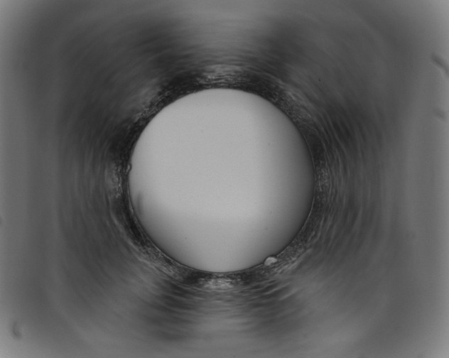 X0000098090751200804251254