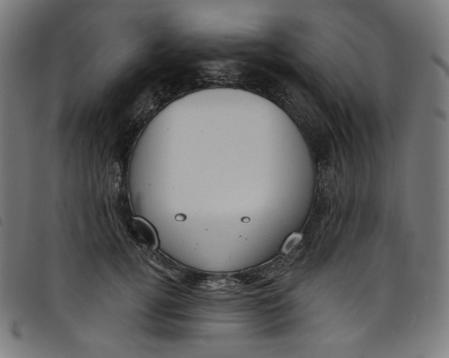 X0000098090752200804251254