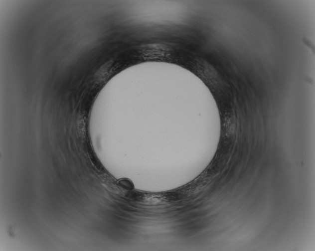 X0000098090753200804251254