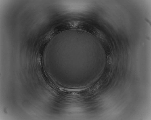 X0000098090754200804251254