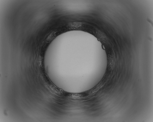 X0000098090758200804251254