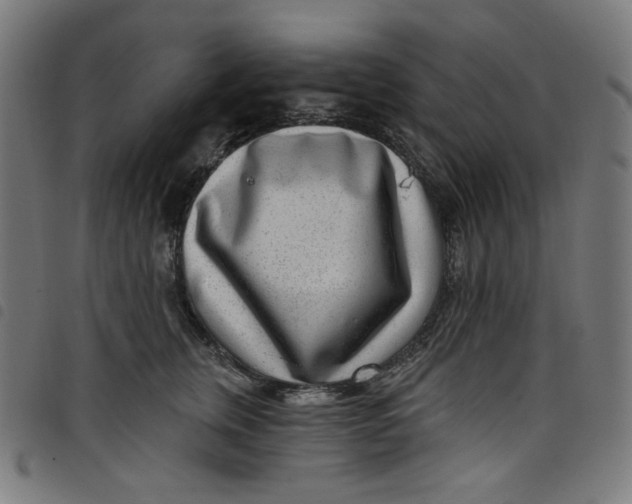 X0000098090759200804251254