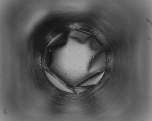 X0000098090762200804251254