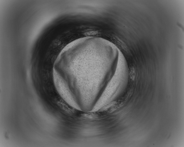 X0000098090763200804251254