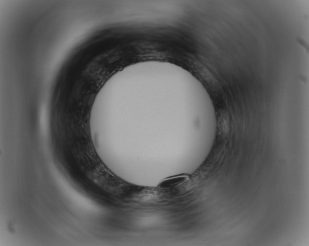 X0000098090764200804251254