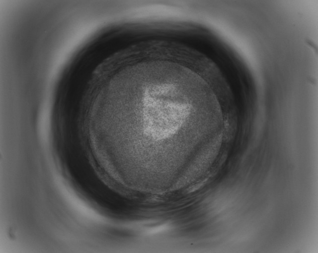 X0000098090765200804251254